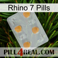 Rhino 7 Pills 24